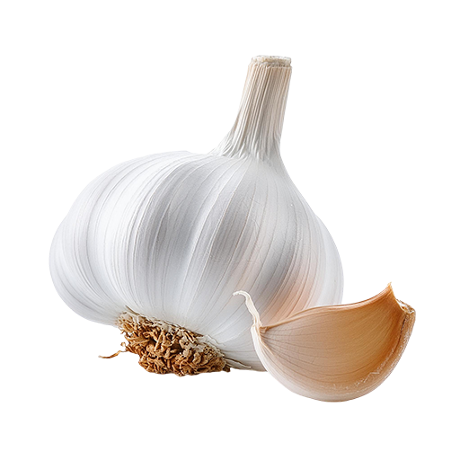 Garlic
