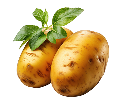  Potatoes