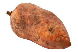 Sweet Potato