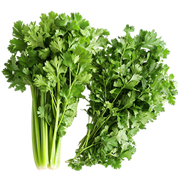 Parsley