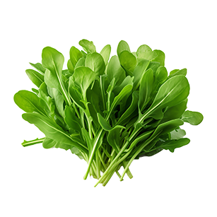 Arugula
