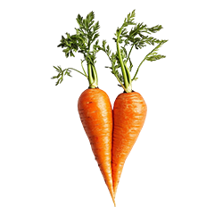 Carrots
