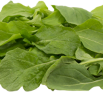 Fine Leaf Arugula (Export Grade)
