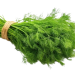 Egyptian Dill (Baladi)