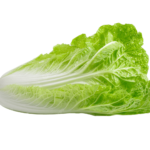 Flat Head / Large Leaf (On Demand)