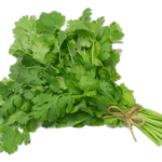Fresh Green Coriander (Baladi)