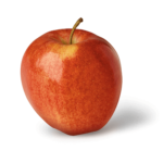 Gala (Turkey)