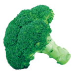 Hybrid Green Broccoli (Open Field)