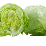Iceberg Lettuce