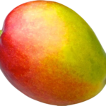 Keitt
