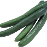 Long Field Cucumber (Open Field)