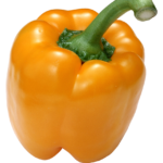 Orange Bell Pepper
