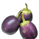Oval Dark Purple (Classic)