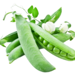 Snow Peas (Flat Pod)