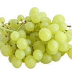 Thompson Seedless