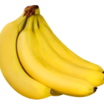 Tissue Culture Bananas